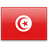 国旗的突尼斯